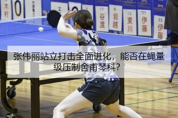 张伟丽站立打击全面进化，能否在蝇量级压制舍甫琴科？