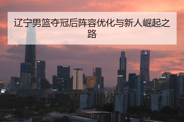 辽宁男篮夺冠后阵容优化与新人崛起之路