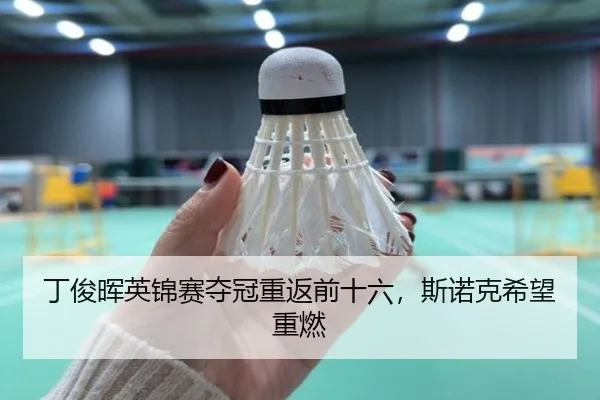 ding-jun-hui-ying-jin-sai-duo-guan-chong-fan-qian-shi-liu-si-nuo-ke-xi-wang-zhong-ran-2-475.jpg